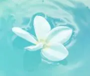 nnꕤ
