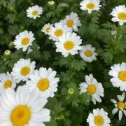 u【購入の際プロフ必ず見て下さい】の画像