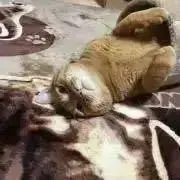 美男くんの画像