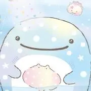 ヨッコ