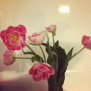 はぐみの画像