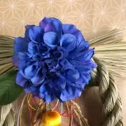 ミシュランの画像