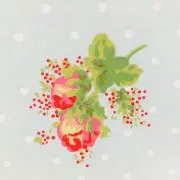 Image of ribbon