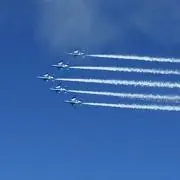 はとまろの画像