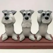 ココロの画像