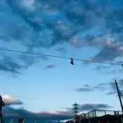ソラの画像