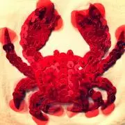 ぼんの画像