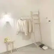 モモカニの画像