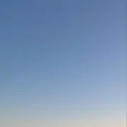 にこさの画像