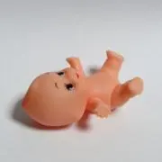 QPの画像