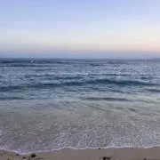 うみの画像
