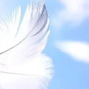 りんごの画像