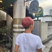 翡翠(ひすい)の画像