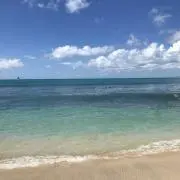 さくら