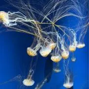 そな 次回8/21〜23セール開催予定✨の画像