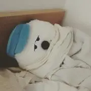 もふ。の画像