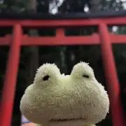 ミミすけの画像