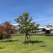 hamaKの画像