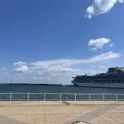 Mの画像