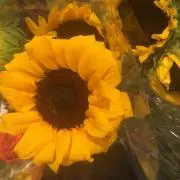 Taylor(プロフィール必読)の画像