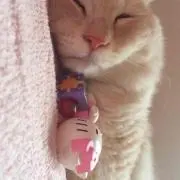 Kana♪