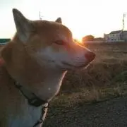 いち