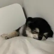 ゆう