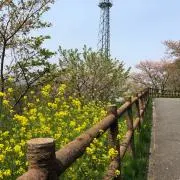 ママココア☆在庫処分まとめ買い大歓迎☆の画像