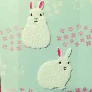 ぽあぽあの画像