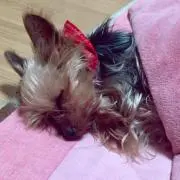 あおなみ