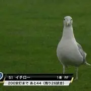 イチロー