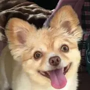 小太郎