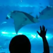 えみの画像