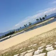 もーもー