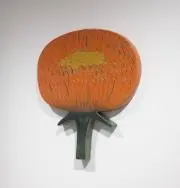 くぅちゃすの画像