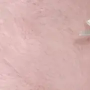 もももの画像