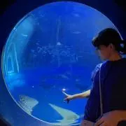 shufumichiの画像