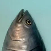 ふじの画像