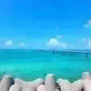 yu-ki*の画像