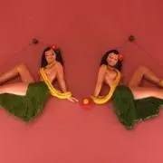 Cimaの画像