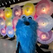 蒼の画像