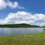 みりー