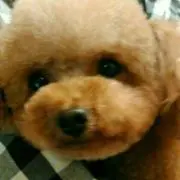 みっきー