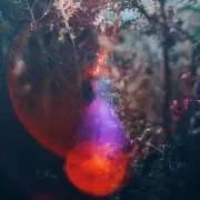 白湯