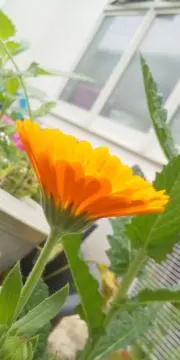 あぃ♡