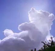 ゆみりん