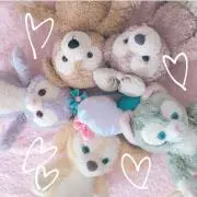 るかの画像