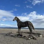 さーやの画像