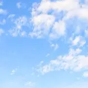 かえるちゃんの画像