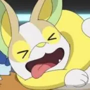 ひつじの画像